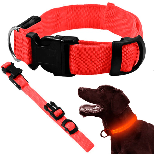 LED Halsband Hond | Rood | Verstelbaar 36-59 cm | 3 Lichtstanden