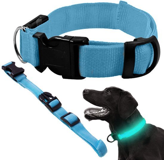 LED Halsband Hond | Blauw | Verstelbaar 36-59 cm | 3 Lichtstanden